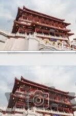 林仙踪麻豆91-奇妙探险，一场寻找林中小仙踪的旅程