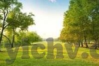 免费av日韩-免费AV日韩，网络文化与法律边界的微妙平衡