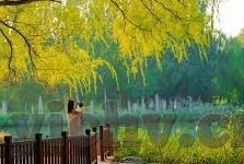 人妻色区-家庭温馨的色彩，人妻的温柔时光