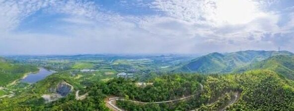糖心app免费软件-深度了解糖心app，一款引人入胜的免费软件体验