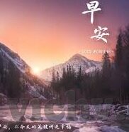 糖心vlog金善雅-糖心Vlog，金善雅的多元化短视频之旅