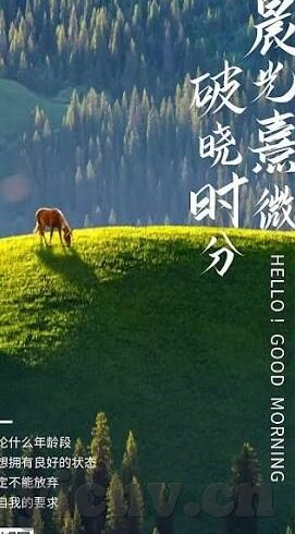 糖心vlog下载地址-搜寻甜品生活，尝鲜糖心Vlog独特魅力